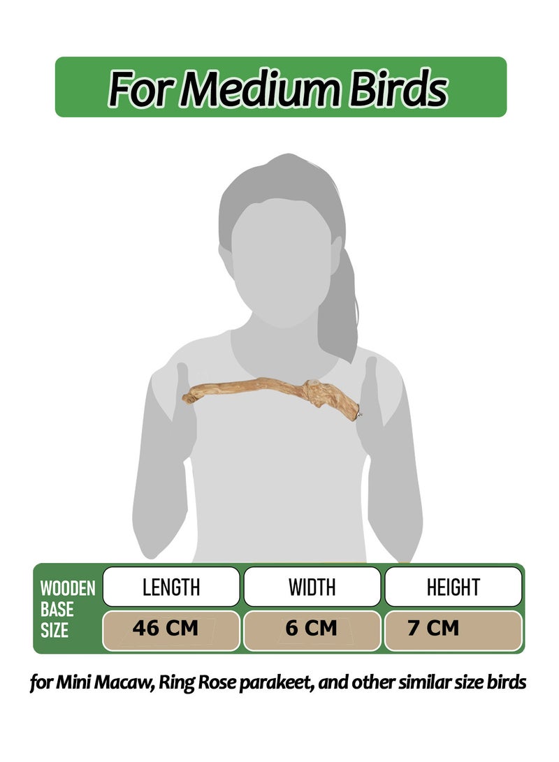 CHEWY BEAK Birds Stand Java wood Medium Parrots Ringed Rose Mini Macaw Rosella Wooden Perch Natural Indonesian Wooden Tree branch Cage Accessories stick - Image 2