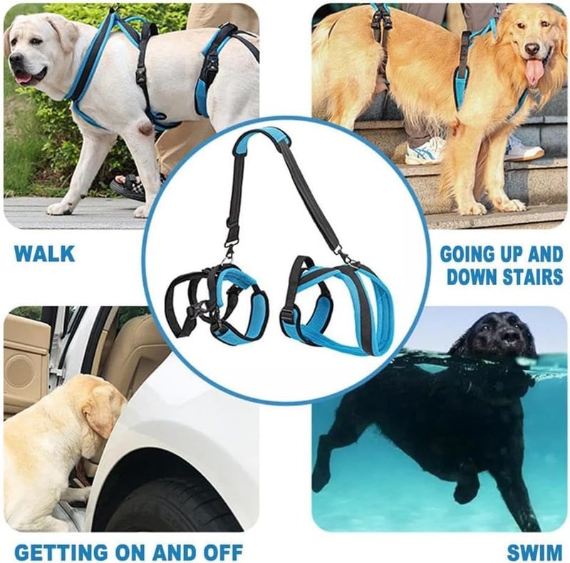 SOLARAE Dog Lift Harness Portable Lifting Sling Support Strap Help Dogs with Weak Rear Legs for Small Large Dogs Surgery Recovery Walking Pain Relief for Dogs Needing Help Home, Office Desk Holder - Image 2
