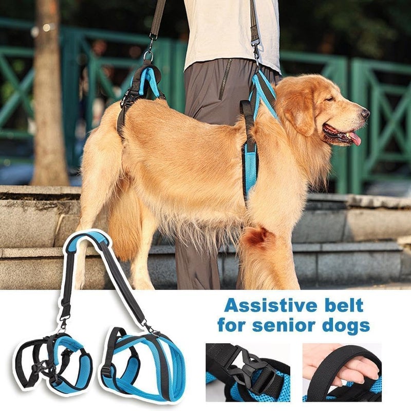 SOLARAE Dog Lift Harness Portable Lifting Sling Support Strap Help Dogs with Weak Rear Legs for Small Large Dogs Surgery Recovery Walking Pain Relief for Dogs Needing Help Home, Office Desk Holder - Image 5