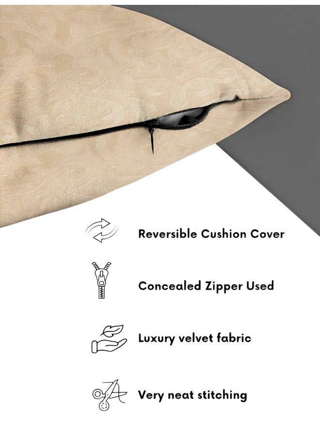 STARNSTYLE غطاء وسادة زخرفي من ستارنس تايل مخمل 12x12 بوصة - مجموعة من 5، أغطية وسائد مربعة ناعمة من داماسك للكنبة، غرفة المعيشة أو ديكور المنزل - 30x30 سم بيج - Image 4