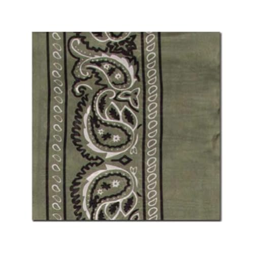 Wyoming Traders Bandana Silk Scarf, Sage 4.5x34.5 Regular - Image 4