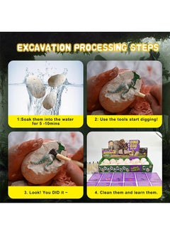 Generic Dino Eggs Dig Kit, 12 Unique Fossil Eggs and Discover Dinosaur Excavation Tools Science STEM Digging Toy Gift Present for Boys Girls Age 6-12 Birthday Party, Playdates.  - Image 3