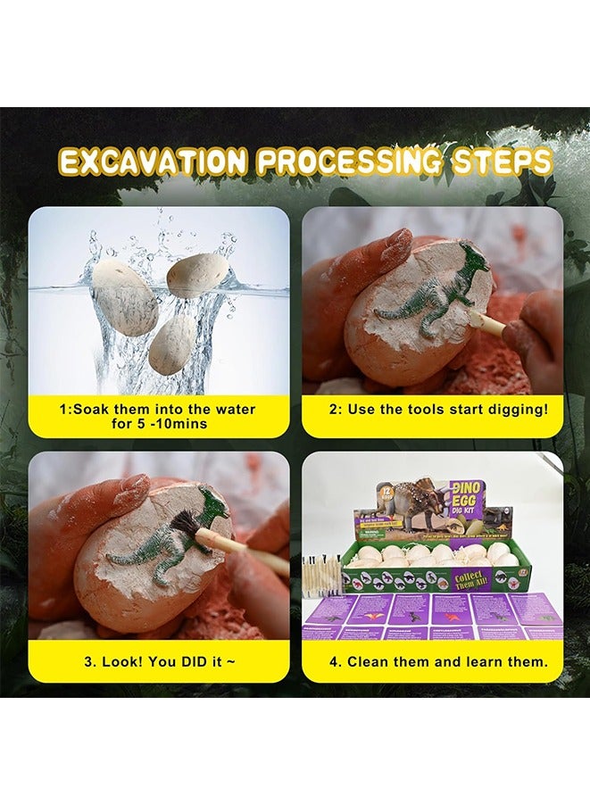 Dino Eggs Dig Kit, 12 Unique Fossil Eggs and Discover Dinosaur Excavation Tools Science STEM Digging Toy Gift Present for Boys Girls Age 6-12 Birthday Party, Playdates. - Image 3