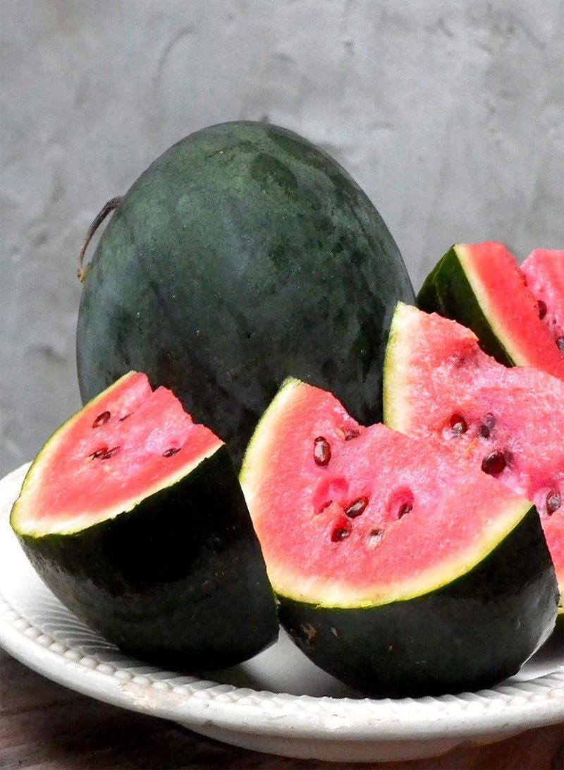 GGOOT 100Pcs Plant Seeds Mini Delicious Premium Fruit Plant Seeds for Outdoor - Watermelon Seeds - Image 2