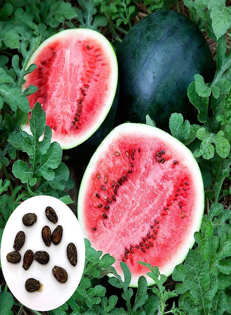 GGOOT 100Pcs Plant Seeds Mini Delicious Premium Fruit Plant Seeds for Outdoor - Watermelon Seeds - Image 1