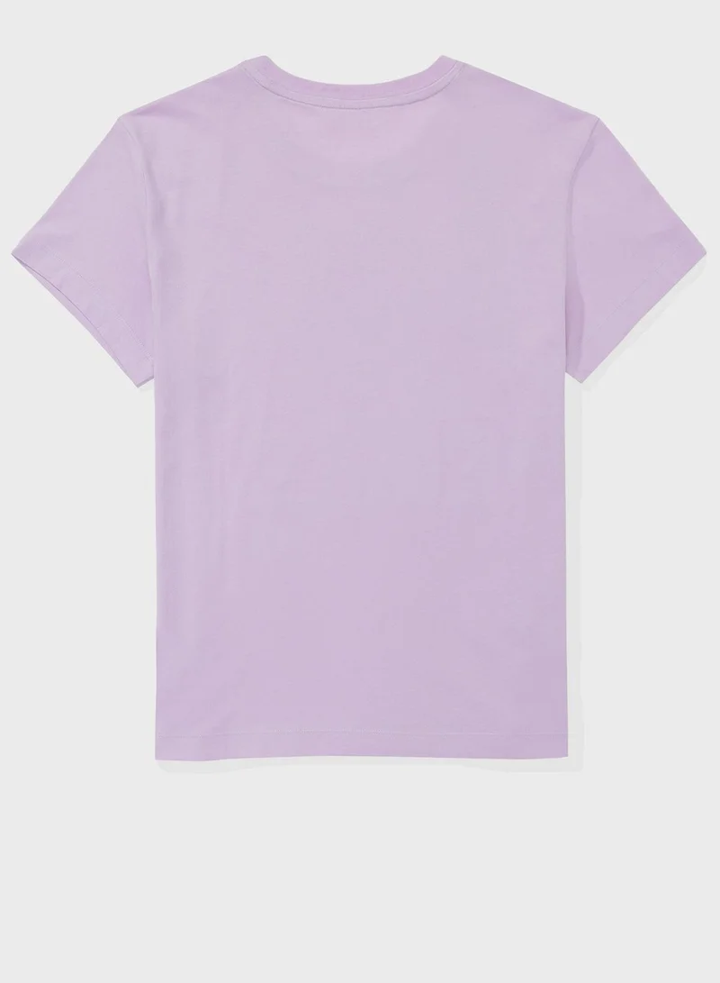 American Eagle Graphic Crew Neck T-Shirt
