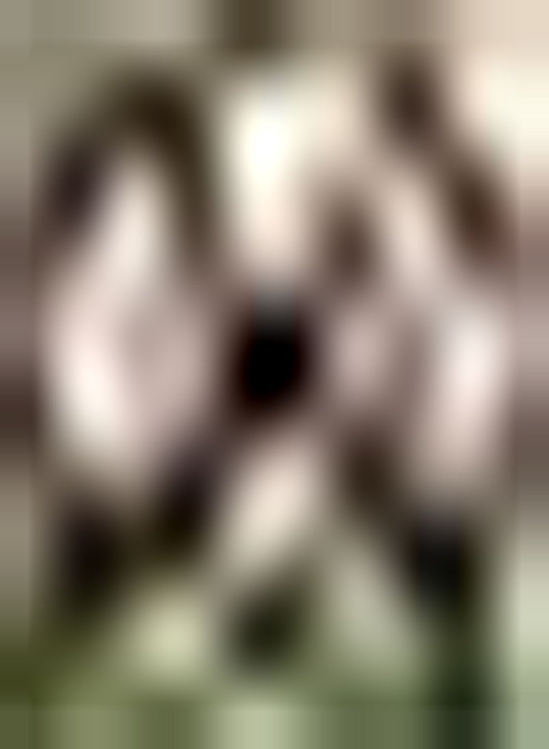 GGOOT 10pcs Mixed Color Tulip Seeds Exquisite Art Bouquet Cut Garden Gifts Beginners Simple Planting Aromatic Attract Butterfly Birds - Image 1