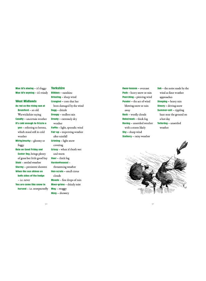 100 Words for Rain: A surprising and entertaining guide to Britain’s favourite subject – our weather - Image 4