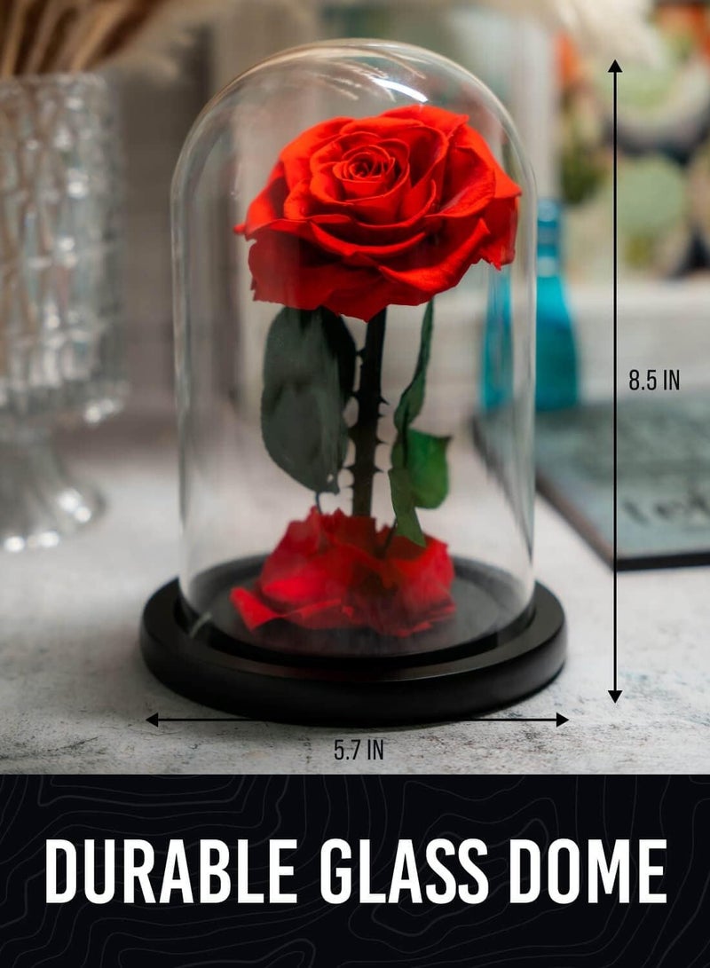 Birthday Gifts for Women,Beauty and the Beast Rose in Glass Dome,Preserved Rose with Warm Lights,Flower for Delivery Prime,Forever Flower Gifts for Women Mom Wife Girlfriend, Anniversary Birthday Gift - Image 4