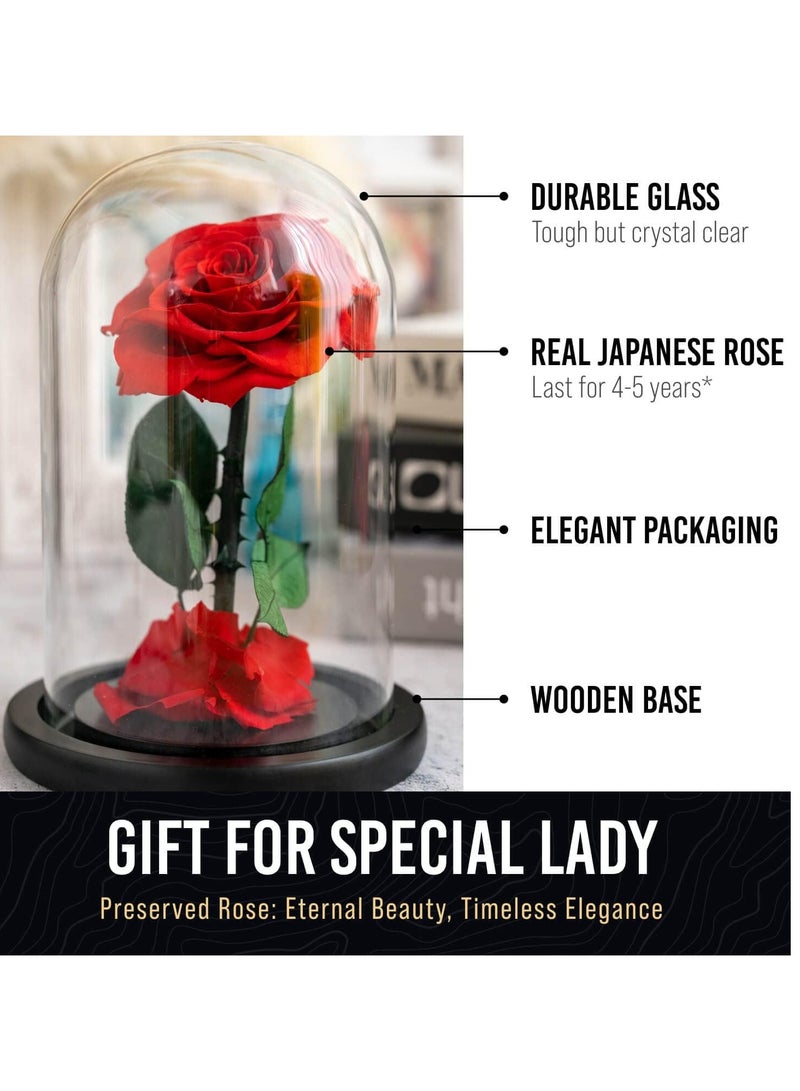 Birthday Gifts for Women,Beauty and the Beast Rose in Glass Dome,Preserved Rose with Warm Lights,Flower for Delivery Prime,Forever Flower Gifts for Women Mom Wife Girlfriend, Anniversary Birthday Gift - Image 5