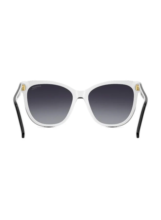 Carrera Wayfarers Sunglasses