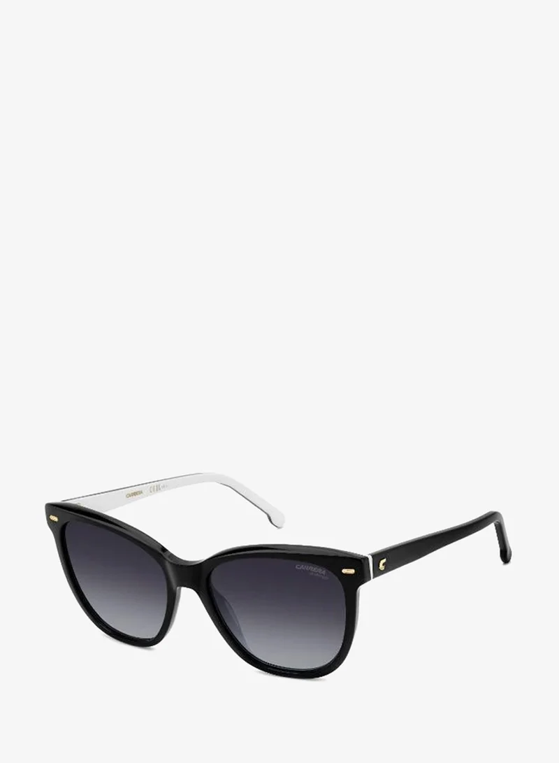 Carrera  Wayfarers Sunglasses for Women | Best Price UAE