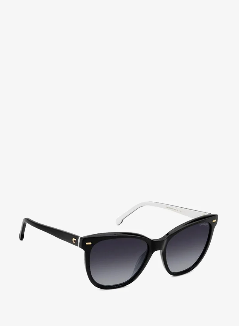 Carrera  Wayfarers Sunglasses for Women | Best Price UAE