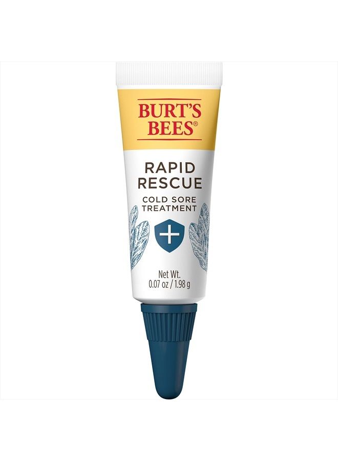 Burt's Bees Cold Sore Treatment with Rhubarb and Sage Complex, 0.07 Ounce (Pack May Vary) - Image 1
