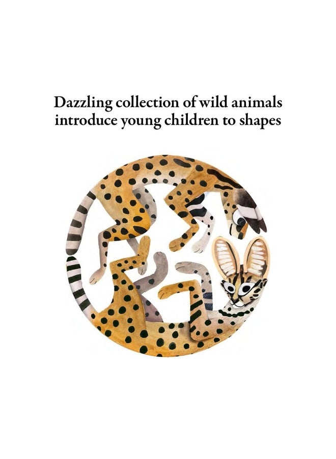 Hello Hello Shapes - Image 2