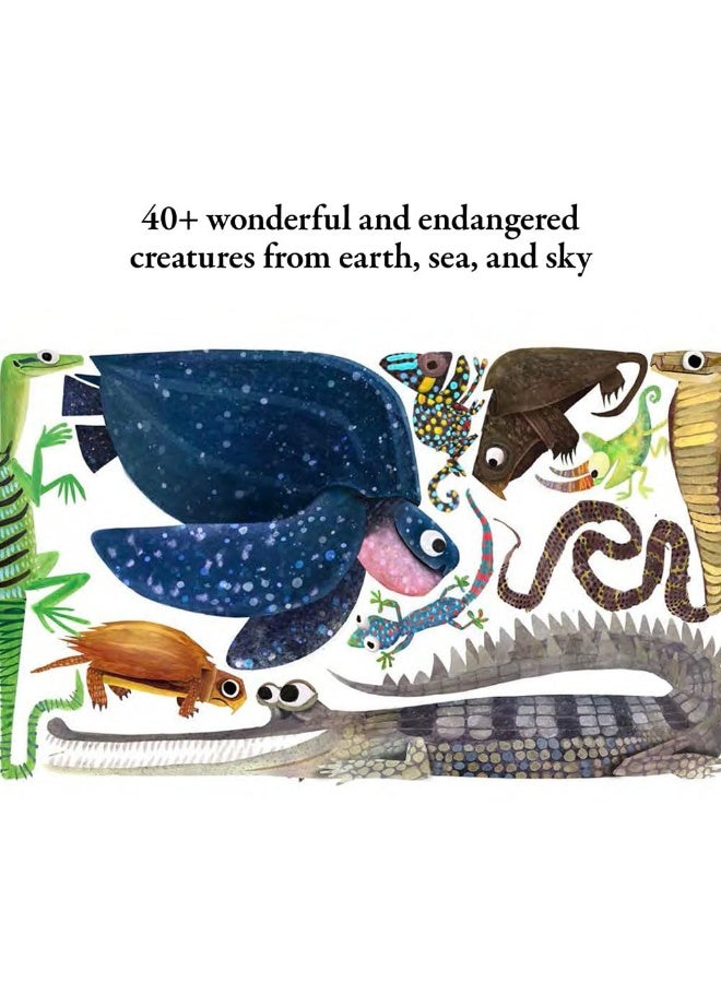 Hello Hello Shapes - Image 4