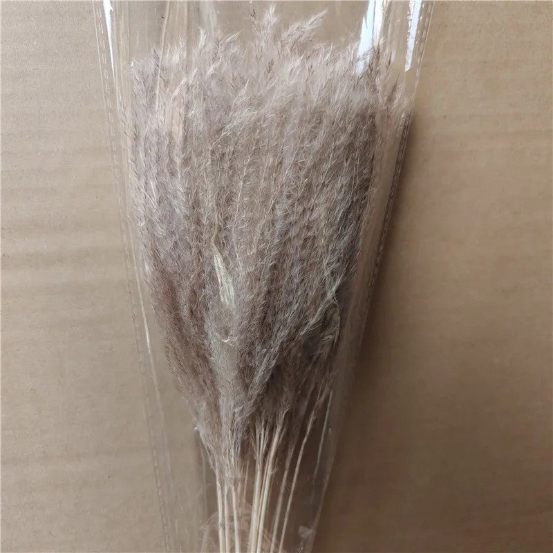 Bluejw Golden Silk Grass Pampas Grass Floral Arrangements - Dried Pogonatherum Crinitum - Boho Home Wedding Party Christmas Decorations - Image 1