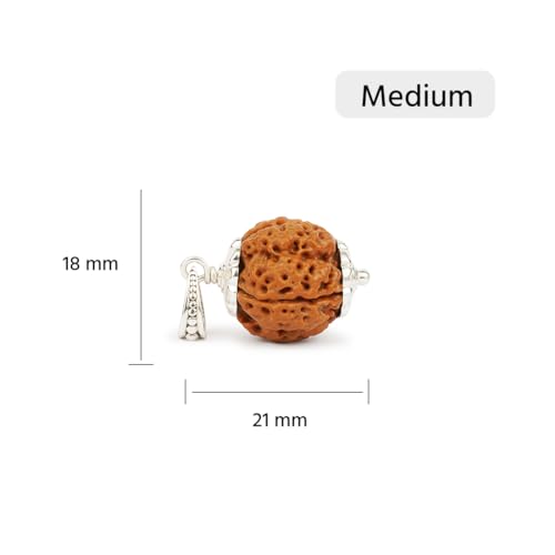 GEMSMANTRA 4 Mukhi Rudraksha with Silver Pendant 92.5 Purity with Sterling silver |Medium Size| Original Nepali | Natural and Lab Certified | Helps to Improve Wisdom and Spiritual Growth | Helps in Self-Expressing for Men & Women - Image 2