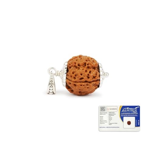 GEMSMANTRA 4 Mukhi Rudraksha with Silver Pendant 92.5 Purity with Sterling silver |Medium Size| Original Nepali | Natural and Lab Certified | Helps to Improve Wisdom and Spiritual Growth | Helps in Self-Expressing for Men & Women - Image 1