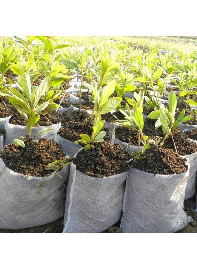 300 قطعة أكياس زراعية قابلة للتحلل غير منسوجة لزراعة النباتات أكياس لإنبات النباتات لتوريد حدائق المنزل أو الحدائق الخارجية 16x20 سم - Image 5