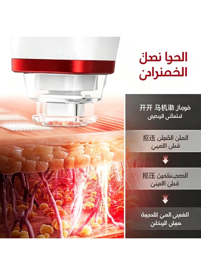 جهاز ميزوثيرابي للوجه بإبر دقيقة ضغط سلبي محمول، ماكينة حقن سيروم الوجه للاستخدام المنزلي، جهاز تجميل كهربائي بنبضات إمس لزيادة امتصاص البشرة، لتفتيح البشرة وترطيبها ومقاومة الشيخوخة وتصغير المسام - Image 5