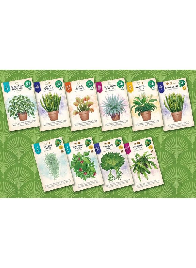 Alderac Entertainment Group (AEG) Verdant Family Spatial Puzzle Game Ages 10+ 1 5 Players 30 45 Min - Image 4