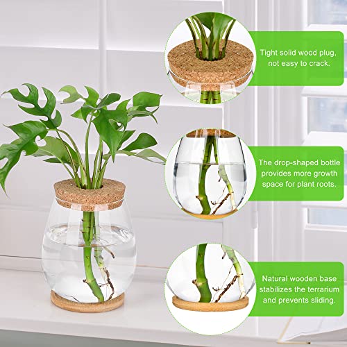 onepeng 2Pcs Propagation Vases for Plants, Well-Made Plant Terrarium, Hydroponic Glass Container Vase Jars, Plant Lover Gifts for Women, Windowsill Kitchen Desktop Decorations - Image 3