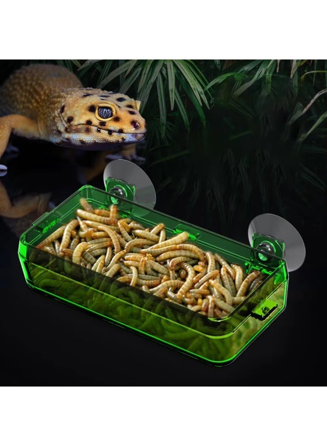 NomoyPet وعاء طعام وماء بلاستيكي شفاف من Nomoypet 2 في 1 للزواحف، وعاء تغذية مضاد للهروب من الديدان، للسلاحف، والوزغ، والثعابين، والحرباء - Image 4
