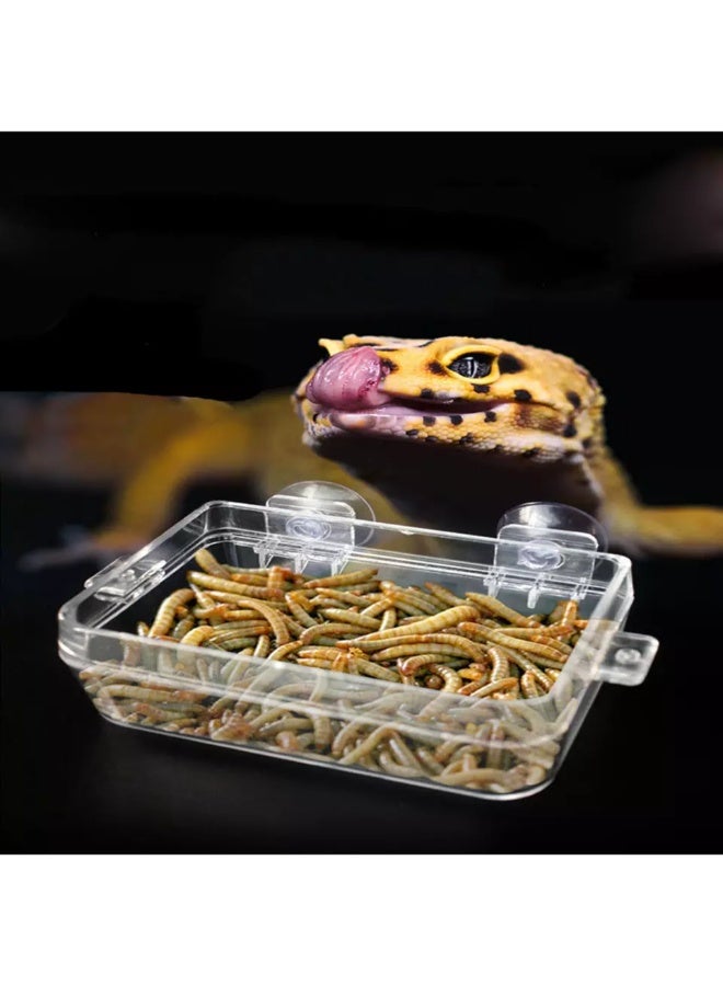 NomoyPet وعاء طعام وماء بلاستيكي شفاف من Nomoypet 2 في 1 للزواحف، وعاء تغذية مضاد للهروب من الديدان، للسلاحف، والوزغ، والثعابين، والحرباء - Image 3