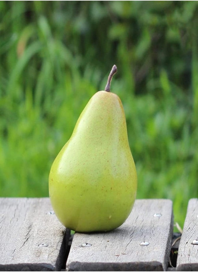AKDC Toyandona 4Pcs Fake Pears Artificial Fruits Artificial Vivid Green Pears For Home Fruit Shop Supermarket Desk Office Restaurant Decorations Props  - Image 5