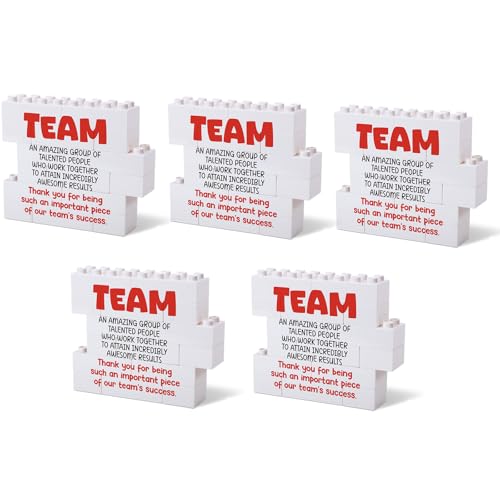 Heartfelt Gifting Team Gifts for Coworkers Employees Staff Colleague Group- Appreciation Office Decor for Team Building - Thank You Recognition Present for Teamwork Success Motivation inspirational-5pcs - Image 1