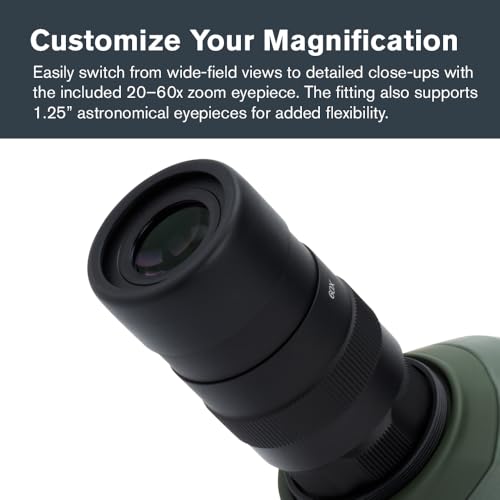 Celestron سيلسترون – منظار ريجال M2 80ED – زجاج ED لمراقبة الطيور والأنشطة الخارجية – منشور باك-4 مطلي بطبقة فازية وديالكترية – عدسات متعددة الطلاء بالكامل – تركيز مزدوج – عدسة مكبرة 20-60x - Image 5