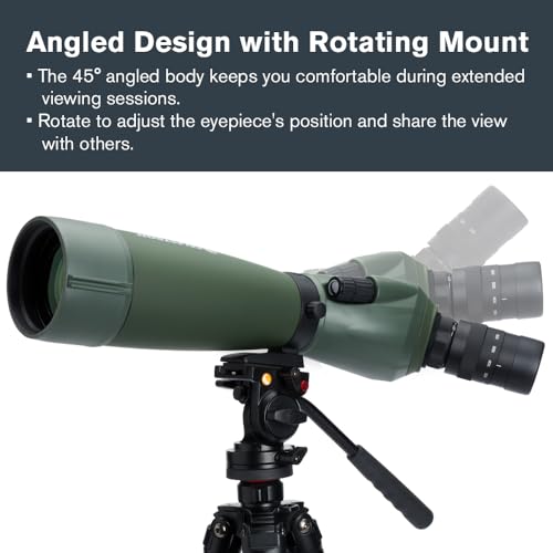 Celestron سيلسترون – منظار ريجال M2 80ED – زجاج ED لمراقبة الطيور والأنشطة الخارجية – منشور باك-4 مطلي بطبقة فازية وديالكترية – عدسات متعددة الطلاء بالكامل – تركيز مزدوج – عدسة مكبرة 20-60x - Image 4