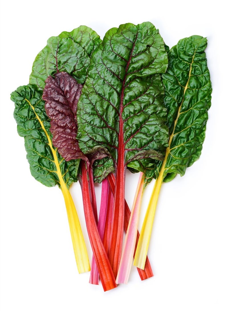 Indica Swiss Chard Collard Leaves 3 Types Mixed Seeds Combo(3 Packets x AVG 30+ Seeds Each) by Super Agri Green - Image 1