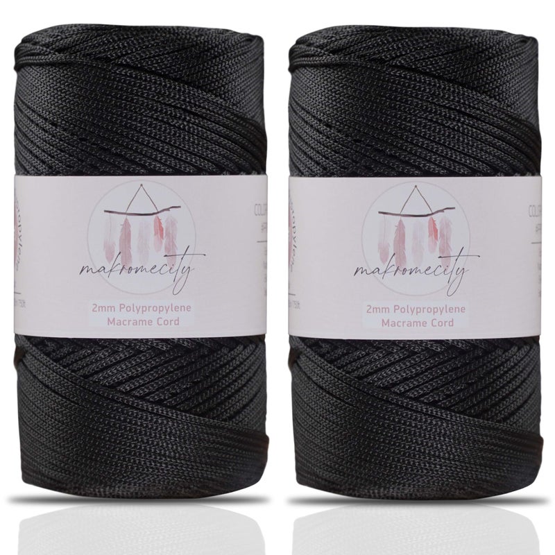 Makromecity 2 Skeins of Polyester Macrame Cord 2mm x 250 Yards 750 feet 2mm Polypropylene Macrame Cord for Macrame Art Crafts for Wall Hangings Bags Underplate Rug 29 Colors Available