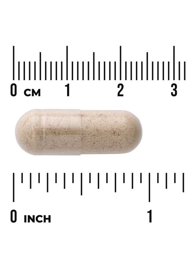 SWANSON Full Spectrum Milk Thistle, 500 mg, 100 Vegan Capsules - Image 3