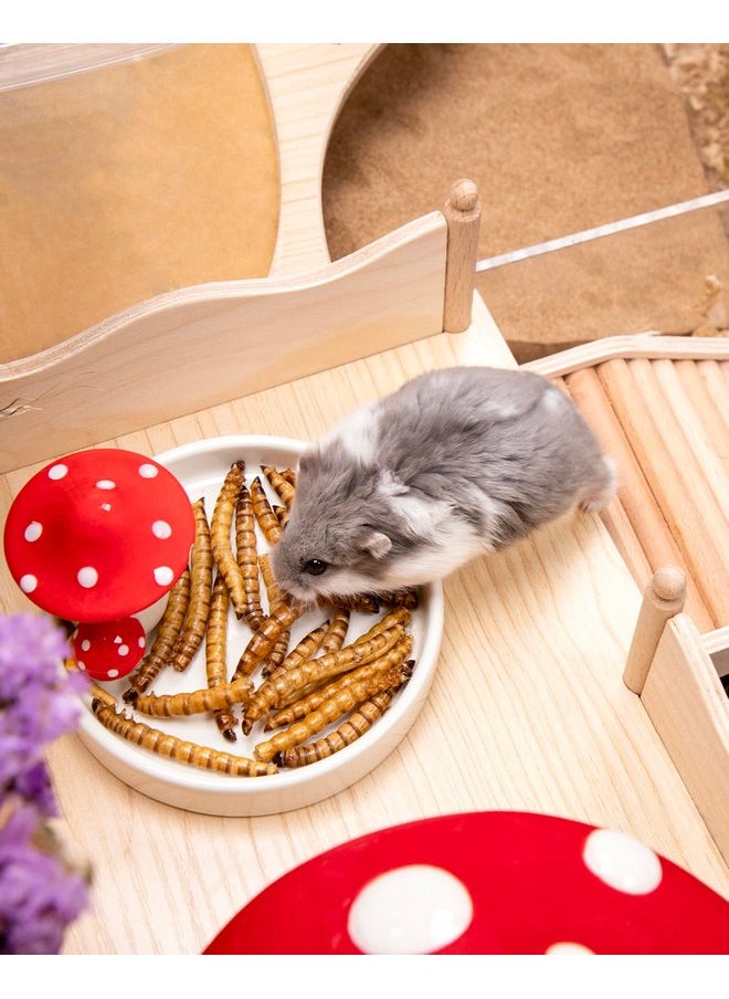 Niteangel - Niteangel Hamster Snack & Treats Toy - Small Animal Natural Treat for Dwarf Syrian Robo Hamsters Gerbils Mice Lemmings or Other Small-Sized Pets - Image 1