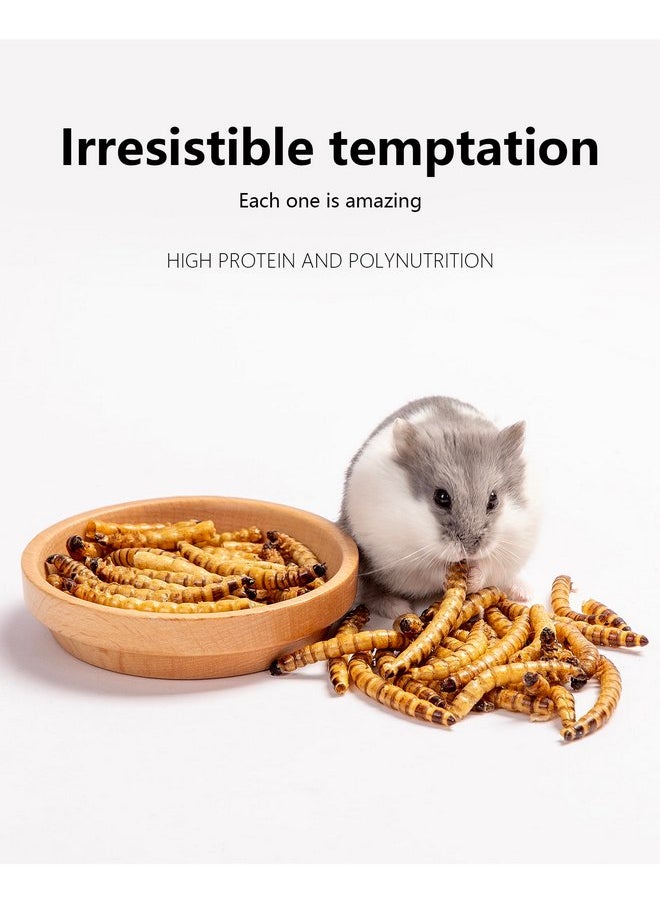 Niteangel - Niteangel Hamster Snack & Treats Toy - Small Animal Natural Treat for Dwarf Syrian Robo Hamsters Gerbils Mice Lemmings or Other Small-Sized Pets - Image 1