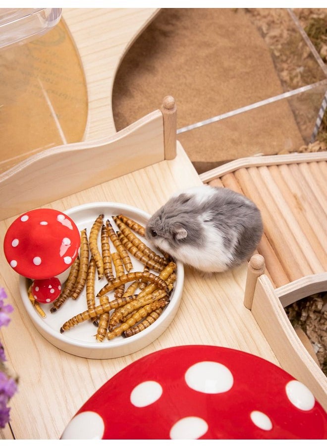 Niteangel - Niteangel Hamster Snack & Treats Toy - Small Animal Natural Treat for Dwarf Syrian Robo Hamsters Gerbils Mice Lemmings or Other Small-Sized Pets - Image 1