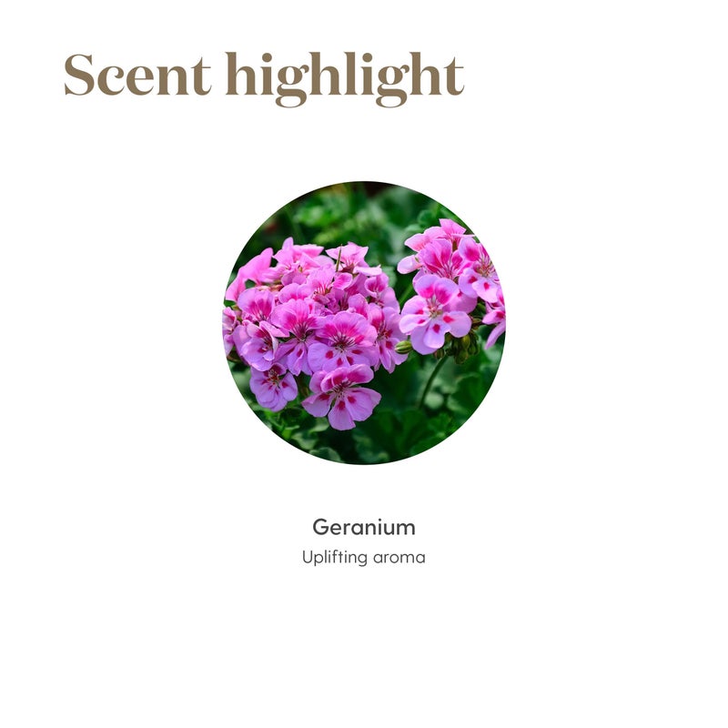 Young Living Geranium Essential Oil 15ml by Young Living Essential Oils - Image 5