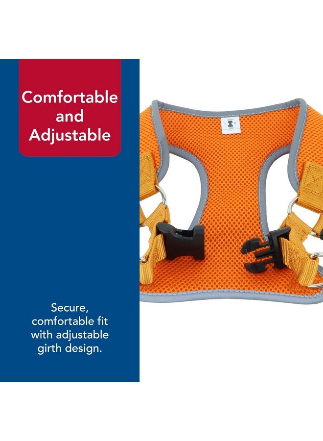 كوستال حزام كلب قابل للتعديل وناعم من Coastal Pet Comfort - حزام كلب لا يسحب للكلاب الصغيرة والكبيرة - برتقالي غروب الشمس - 1" x 28"-36" - Image 5