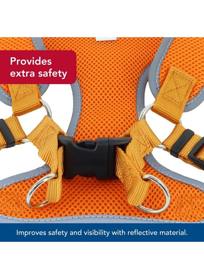 كوستال حزام كلب قابل للتعديل وناعم من Coastal Pet Comfort - حزام كلب لا يسحب للكلاب الصغيرة والكبيرة - برتقالي غروب الشمس - 1" x 28"-36" - Image 4