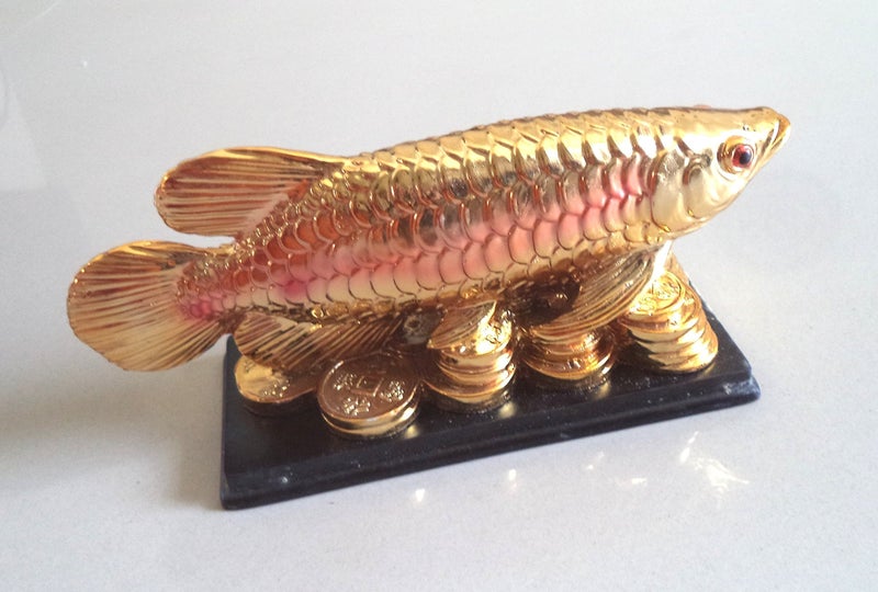 RIPE INDIA® Feng Shui Arowana Fish On Money Coins Bed for Wealth and Prosperity - Image 5