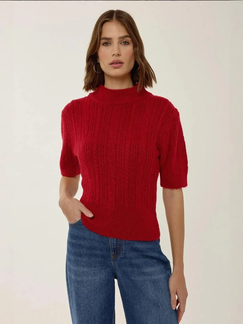HICCUP Short Sleeve Half Turtleneck Hair Braid Knit Sweater