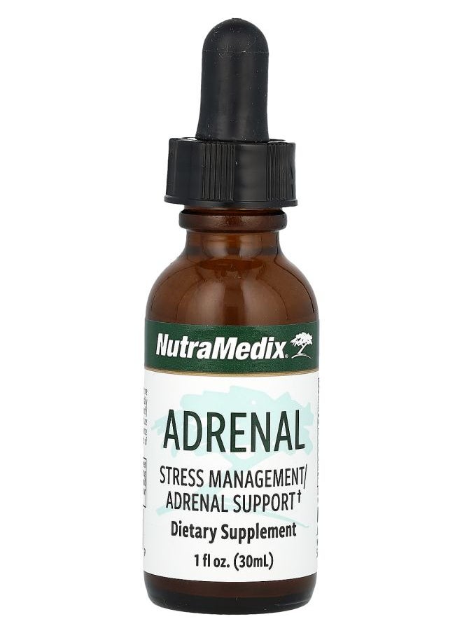 Adrenal Stress Management/Adrenal Support 1 fl oz (30 ml) - pzsku/Z9FE9E552AB6028D0A395Z/45/_/1728742947/e474bd04-c7a7-4eef-9e12-84e5f86b6b59