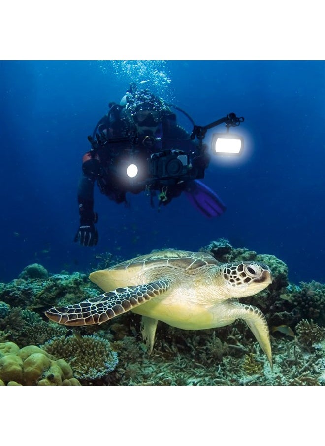 Starbea - Seafrogs Dual Handle Underwater Camera Tray, Aluminum Alloy Underwater Video Stabilizer Camera Bracket with 2 Joint Arms, Handle Grip Tray Stabilizer for Camera Housing, Video Light (TS-7) - Image 1