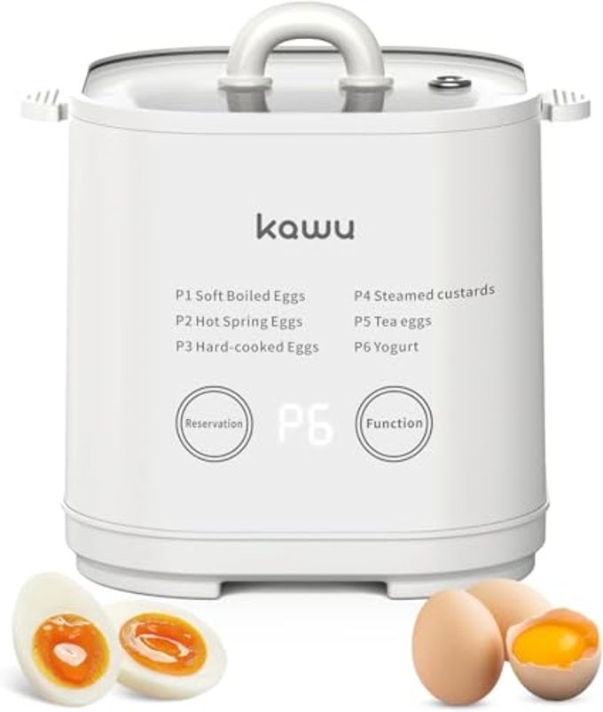EGG COOKER 4 EGGS ELECTRIC EGG BOILER SOFT MEDIUM HARD BOILED EGGS COOKER AUTO SHUTOFF FOOD STEAMER FOR COOKING FOR ONSEN TAMAGO MINI EGG POACHER OMELET MAKER ALARM FOR HOME AND KITCHEN