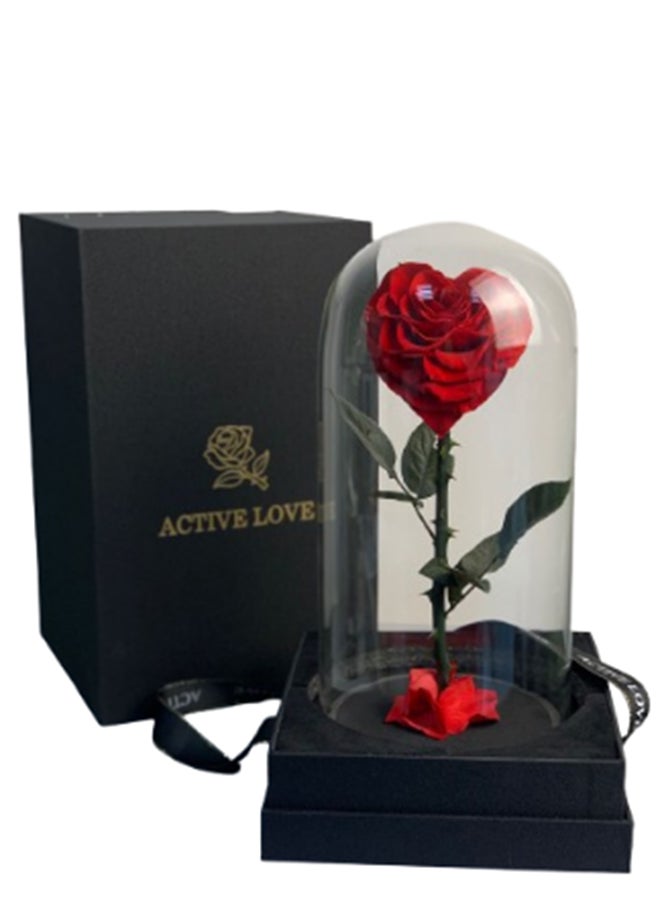 wardi Large Red Heart Infinity Rose In A Box 
