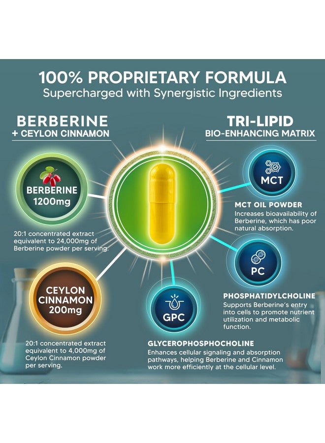 aSquared Nutrition Berberine with Ceylon Cinnamon Supplement - 1400mg Max Strength Complex - 120 Capsules - 1200mg HCl Powder Extract Plus Pills - Alternative to Gummies & Drops - Image 3