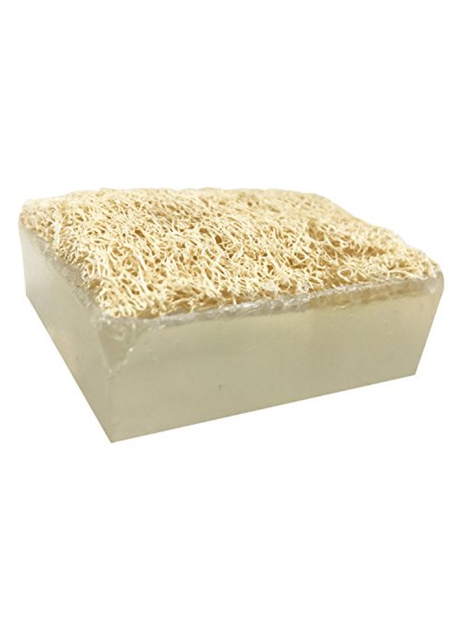 Primal Elements JUICY KIWI Handmade Glycerin LoofahBar Soap - Image 4